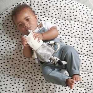 Mamas & Papas x Another Fox Zebra Activity Toy | Sensory Plush with Rattle, Mirror & Teether | High-Contrast Black & White Baby Toy | Visual Development & Motor Skills Aid | Newborn Gift