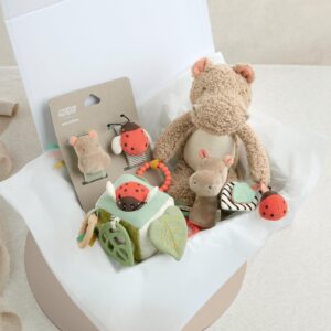 Mamas & Papas Henry Hippo Babyplay Giftbox | Medium | Multicolour | Newborn Baby Sensory Development Set | Mini Activity Cube & Wrist Rattles